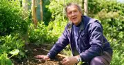 Monty Don Urges Gardeners to Harvest Potatoes Now to Avoid Blight