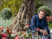 Monty Don Urges Gardeners to Pick Sweet Peas Regularly for Continuous Blooms