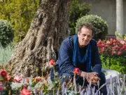 Monty Don Urges Key Wisteria Pruning Now for Stunning Blooms Next Year
