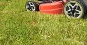 Monty Don Warns: Leaving Grass Clippings Can Ruin Your Lawn Next Year
