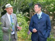 Monty Don's daily greenhouse tip: wet floor to beat heat and spider mites