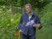 Monty Don's Daily Rose Task for Spectacular Summer Blooms