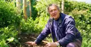 Monty Don's Essential July Gardening Job: Staking Tips for Midsummer Bounty