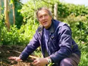 Monty Don's July Gardening Rule to Avoid Plant 'Danger Zone'