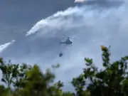 Moorland Fires Cause 'Mass Fatality' and Ecological Emergency in Peak District