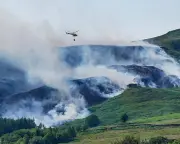 Most UK Media Failed to Link June Heatwave to Climate Crisis, Analysis Finds