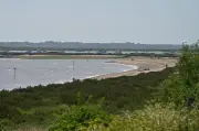 Mother and daughter from east London drown in Essex beach tragedy