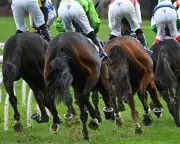 MPs Demand Answers on Gambling Affordability Checks in New Twist
