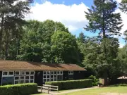 Multiple Children Among 18 Injured After Tree Collapse at PGL Adventure Park
