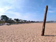 Mysterious 8ft Tree Appears on Rhos on Sea Beach in North Wales
