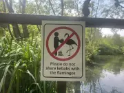 Mysterious Humorous Road Signs in Glasgow Confuse and Amuse Locals