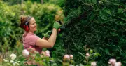 Neighbour Can't Force Hedge Removal Without Legal Claim, Lawyer Says