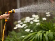 Neighbour's threat to call police over hosepipe ban sparks backlash