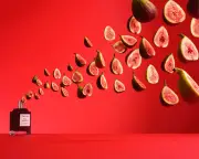 New Crop of Fig Perfumes Restores Faith in the Scent After Cheap Dupes