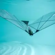 New Robot Swims Underwater Then Flies Through Air Like a Bird
