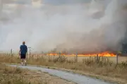 New Wildfires in East London After Busiest Day for Firefighters