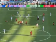 New World Cup Final Fight Footage Reveals Real Culprit of Bust-Up