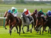Newsboy's Friday Horseracing Tips: Rose Of Honour Nap at Newmarket, Chapter at Wolverhampton