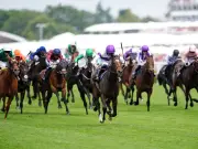 Newsboy's Friday racing tips: Paradise Walk Nap at Ascot, Imperial Cult NB at Sandown