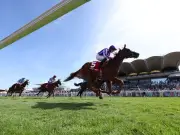 Newsboy's Glorious Goodwood Wednesday tips for every race