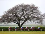 Newsboy's Horseracing Tips: Tuesday Naps and Selections