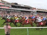 Newsboy's Monday horse racing selections: Brash nap at Ayr, plus Whiskey Kisses