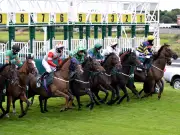 Newsboy's Racing Tips: NAP at Catterick, NB at Yarmouth for July 14