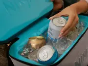 Ninja FrostVault Cooler That Keeps Drinks Chilled for Hours Now £50 Off