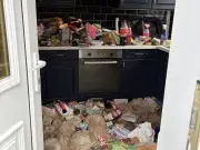 North East landlord fined £42,500 after tenants lived with dead rats and mice