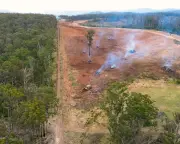 NSW land clearing jumps 16% despite pledges to rein it in