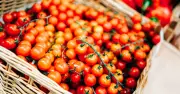 Nutritionist: Cherry Tomatoes Healthier Due to Skin-to-Flesh Ratio