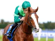 O'Brien compares Benvenuto Cellini to Galileo ahead of King George