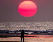 Ocean Surface Temperatures Hit Record High for June, Scientists Warn of Consequences