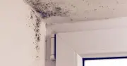 One simple everyday task that keeps bathroom mould away