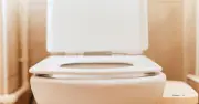 One Simple Task to Keep Your Toilet Sparkling and Limescale-Free