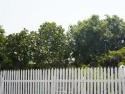 Only One Way to Know Which Neighbour Pays for Fence Repairs