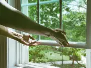 Opening Windows 11am-6pm During Heatwave Could Heat Homes