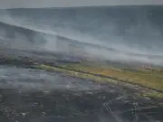 Over 200 Wildfires Recorded in England and Wales in 12 Days, NFCC Warns