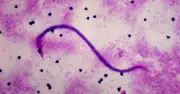 Parasites Could Be Life-Saving Superheroes, Says Entomologist