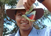 Parasites’ vital roles: entomologist champions nature’s villains in new book