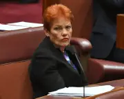 Pauline Hanson calls domestic violence leave 'ridiculous'