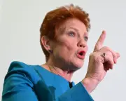 Pauline Hanson says domestic violence prevents police from dealing with 'real crime' in unearthed interview