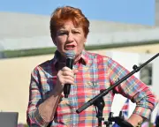 Pauline Hanson's domestic violence comments are dangerous for women, says Nicole Yade