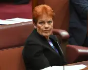 Pauline Hanson's domestic violence comments were no stumble, analysis finds