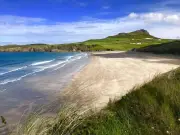 Pembrokeshire dog beach ban enforcement under scrutiny