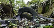 Penscynor Wildlife Park: Beloved Welsh Attraction Reclaimed by Nature