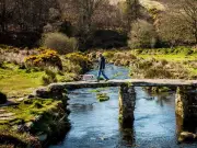 Perfect dog walk lasts 67 minutes with 16 sniffs and water, survey finds