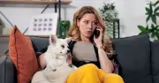Pet owners warned against eclipse glasses for dogs