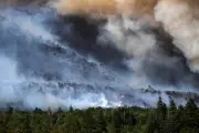 Pilot Killed in Colorado Wildfire Crash Identified