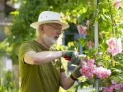 Plant This Flower to Attract Butterflies to Your Garden This Summer